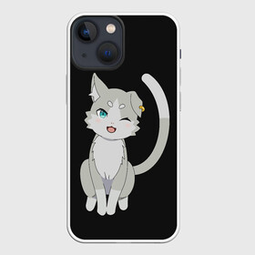 Чехол для iPhone 13 mini с принтом Re:Zero в Тюмени,  |  | anime | cat | cats | glitch | japan | ram | re | rem | rezero | senpai | subaru | waifu | zero | анимация | аниме | вайфу | глитч | глич | кот | кошка | мультсериал | мультфильм | семпай | сенпай | сериал | япония