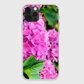 Чехол для iPhone 12 Pro Max с принтом Гортензия в Тюмени, Силикон |  | blooming. | floral | flower | hydrangea | nature | ботаника | букет | бутон | гортензия | клумба | лепесток | лето | листья | сад | цветение | цветок | цветы