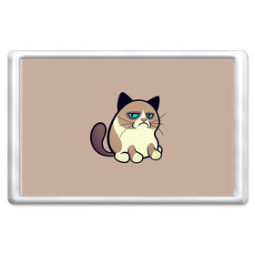 Магнит 45*70 с принтом Великий Grumpy Cat в Тюмени, Пластик | Размер: 78*52 мм; Размер печати: 70*45 | Тематика изображения на принте: grumpy cat | арт | кот | кот grumpy cat | котёнок | кошка | недовольный кот | рисунок