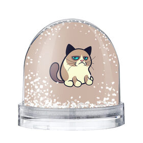 Снежный шар с принтом Великий Grumpy Cat в Тюмени, Пластик | Изображение внутри шара печатается на глянцевой фотобумаге с двух сторон | Тематика изображения на принте: grumpy cat | арт | кот | кот grumpy cat | котёнок | кошка | недовольный кот | рисунок