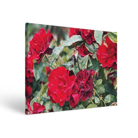 Холст прямоугольный с принтом Red Roses в Тюмени, 100% ПВХ |  | bush | floral | flower | garden | green | nature | red roses | бутоны | красная роза | куст | листья | природа | роза | сад | цветение | цветок | цветы