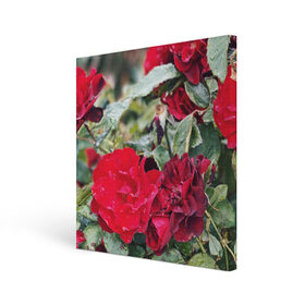 Холст квадратный с принтом Red Roses в Тюмени, 100% ПВХ |  | bush | floral | flower | garden | green | nature | red roses | бутоны | красная роза | куст | листья | природа | роза | сад | цветение | цветок | цветы
