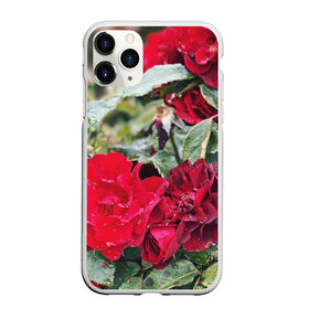 Чехол для iPhone 11 Pro матовый с принтом Red Roses в Тюмени, Силикон |  | Тематика изображения на принте: bush | floral | flower | garden | green | nature | red roses | бутоны | красная роза | куст | листья | природа | роза | сад | цветение | цветок | цветы