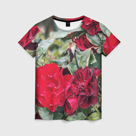 Женская футболка 3D с принтом Red Roses в Тюмени, 100% полиэфир ( синтетическое хлопкоподобное полотно) | прямой крой, круглый вырез горловины, длина до линии бедер | bush | floral | flower | garden | green | nature | red roses | бутоны | красная роза | куст | листья | природа | роза | сад | цветение | цветок | цветы