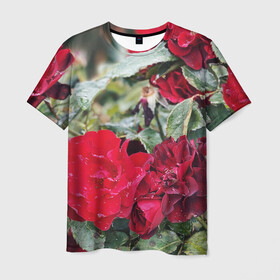 Мужская футболка 3D с принтом Red Roses в Тюмени, 100% полиэфир | прямой крой, круглый вырез горловины, длина до линии бедер | bush | floral | flower | garden | green | nature | red roses | бутоны | красная роза | куст | листья | природа | роза | сад | цветение | цветок | цветы