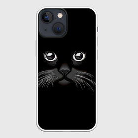 Чехол для iPhone 13 mini с принтом Кошачья моська в Тюмени,  |  | арт | вектор | кот | котёнок | кошка | рисунок | черная кошка | чёрный | черный кот | черный котенок