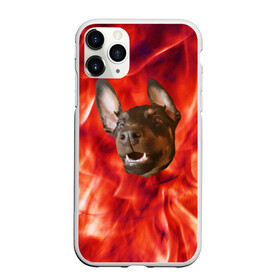 Чехол для iPhone 11 Pro матовый с принтом Огненый Пес в Тюмени, Силикон |  | голова | горячий | горящий | доберман | животное | зверек | зверь | зубы | клык | красный | лицо | овчарка | огонь | пес | пламя | рот | ротвейлер | свет | собака | удивленный | улыбка | щенок