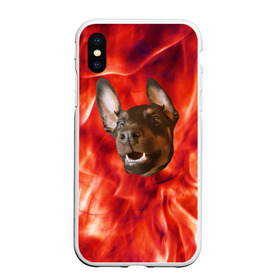 Чехол для iPhone XS Max матовый с принтом Огненый Пес в Тюмени, Силикон | Область печати: задняя сторона чехла, без боковых панелей | голова | горячий | горящий | доберман | животное | зверек | зверь | зубы | клык | красный | лицо | овчарка | огонь | пес | пламя | рот | ротвейлер | свет | собака | удивленный | улыбка | щенок