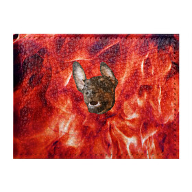 Обложка для студенческого билета с принтом Огненый Пес в Тюмени, натуральная кожа | Размер: 11*8 см; Печать на всей внешней стороне | голова | горячий | горящий | доберман | животное | зверек | зверь | зубы | клык | красный | лицо | овчарка | огонь | пес | пламя | рот | ротвейлер | свет | собака | удивленный | улыбка | щенок
