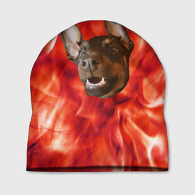 Шапка 3D с принтом Огненый Пес в Тюмени, 100% полиэстер | универсальный размер, печать по всей поверхности изделия | голова | горячий | горящий | доберман | животное | зверек | зверь | зубы | клык | красный | лицо | овчарка | огонь | пес | пламя | рот | ротвейлер | свет | собака | удивленный | улыбка | щенок