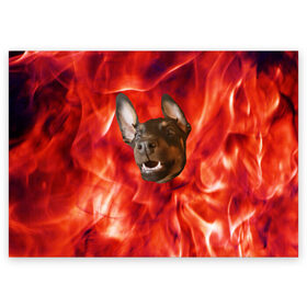 Поздравительная открытка с принтом Огненый Пес в Тюмени, 100% бумага | плотность бумаги 280 г/м2, матовая, на обратной стороне линовка и место для марки
 | голова | горячий | горящий | доберман | животное | зверек | зверь | зубы | клык | красный | лицо | овчарка | огонь | пес | пламя | рот | ротвейлер | свет | собака | удивленный | улыбка | щенок