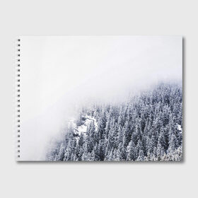 Альбом для рисования с принтом зимний лес в Тюмени, 100% бумага
 | матовая бумага, плотность 200 мг. | Тематика изображения на принте: зима | зимний лес | лес | снег | сосны
