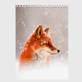Скетчбук с принтом Лиса и снег в Тюмени, 100% бумага
 | 48 листов, плотность листов — 100 г/м2, плотность картонной обложки — 250 г/м2. Листы скреплены сверху удобной пружинной спиралью | Тематика изображения на принте: fox | foxy | животные | звери | зима | зимняя | лиса | лисичка | лисы | природа | снег | снежная