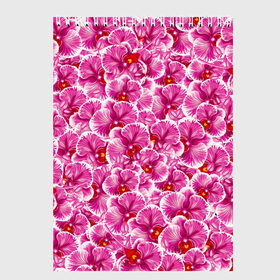 Скетчбук с принтом Розовые орхидеи в Тюмени, 100% бумага
 | 48 листов, плотность листов — 100 г/м2, плотность картонной обложки — 250 г/м2. Листы скреплены сверху удобной пружинной спиралью | fashion flowers | pink | tropical | азия | бабочки | бразилия | букет | бутоны | джунгли | лепестки | лето | любимая | марта | нежные | орхидея | подарок | природа | растения | тропики | тропические | узор | цветение