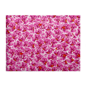 Обложка для студенческого билета с принтом Розовые орхидеи в Тюмени, натуральная кожа | Размер: 11*8 см; Печать на всей внешней стороне | Тематика изображения на принте: fashion flowers | pink | tropical | азия | бабочки | бразилия | букет | бутоны | джунгли | лепестки | лето | любимая | марта | нежные | орхидея | подарок | природа | растения | тропики | тропические | узор | цветение