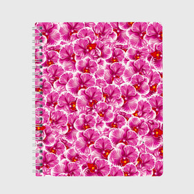 Тетрадь с принтом Розовые орхидеи в Тюмени, 100% бумага | 48 листов, плотность листов — 60 г/м2, плотность картонной обложки — 250 г/м2. Листы скреплены сбоку удобной пружинной спиралью. Уголки страниц и обложки скругленные. Цвет линий — светло-серый
 | fashion flowers | pink | tropical | азия | бабочки | бразилия | букет | бутоны | джунгли | лепестки | лето | любимая | марта | нежные | орхидея | подарок | природа | растения | тропики | тропические | узор | цветение