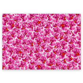 Поздравительная открытка с принтом Розовые орхидеи в Тюмени, 100% бумага | плотность бумаги 280 г/м2, матовая, на обратной стороне линовка и место для марки
 | Тематика изображения на принте: fashion flowers | pink | tropical | азия | бабочки | бразилия | букет | бутоны | джунгли | лепестки | лето | любимая | марта | нежные | орхидея | подарок | природа | растения | тропики | тропические | узор | цветение