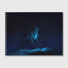 Альбом для рисования с принтом Зимний волк в Тюмени, 100% бумага
 | матовая бумага, плотность 200 мг. | Тематика изображения на принте: wolf | wolfs | волк | волки | волчара | животные | звери | зима | лес | природа | снег