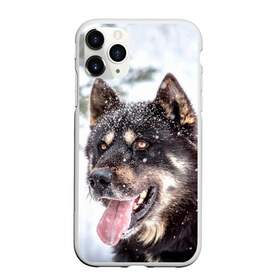 Чехол для iPhone 11 Pro Max матовый с принтом Сибирский Хаски в Тюмени, Силикон |  | dog | животные | зима | пес | природа | сибирский | снег | собака | собаки | собакчка | собачки | хаски