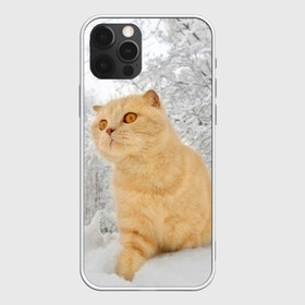 Чехол для iPhone 12 Pro Max с принтом Кот и снег в Тюмени, Силикон |  | cat | животные | звири | кис | киска | кот | котейка | котик | коты | котяра | кошка | кошки | природа