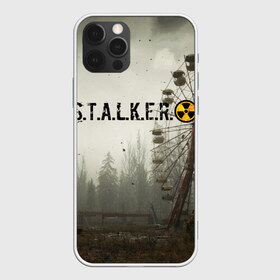 Чехол для iPhone 12 Pro Max с принтом STALKER 2 в Тюмени, Силикон |  | gsc game world | s.t.a.l.k.e.r. | stalker | stalker 2 | постапокалиптический шутер | сталкер | сталкер 2 | шутер