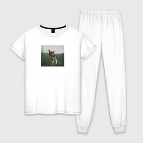 Женская пижама хлопок с принтом Собака в Тюмени, 100% хлопок | брюки и футболка прямого кроя, без карманов, на брюках мягкая резинка на поясе и по низу штанин | dog | собака | собаки | собачка | щенок | щенята