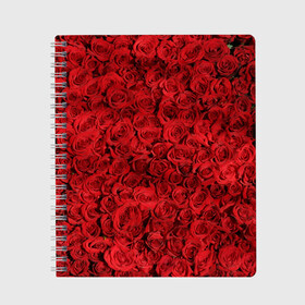 Тетрадь с принтом Roses в Тюмени, 100% бумага | 48 листов, плотность листов — 60 г/м2, плотность картонной обложки — 250 г/м2. Листы скреплены сбоку удобной пружинной спиралью. Уголки страниц и обложки скругленные. Цвет линий — светло-серый
 | Тематика изображения на принте: алые розы | весна | деревья | касные розы | красная роза | красный цветок | лепестки | лес | лето | листья | май | милион алых роз | на каждый день | осень | поле | роза | розы | солнце | тропики | флора