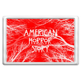 Магнит 45*70 с принтом American Horror Story. в Тюмени, Пластик | Размер: 78*52 мм; Размер печати: 70*45 | Тематика изображения на принте: american horror story | netflix | американ хоррор стори | американская история ужасов | драма | загадочные события | кино | мини сериал | нетфликс | очень странные дела | сериалы | триллер | ужасы | фантастика