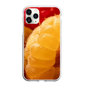 Чехол для iPhone 11 Pro Max матовый с принтом Малина в Тюмени, Силикон |  | Тематика изображения на принте: еда | жёлтая | жёлтые | красная | красные | малина | малинка | природа | растение | растения | ягода | ягодки | ягоды