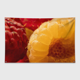 Флаг-баннер с принтом Малина в Тюмени, 100% полиэстер | размер 67 х 109 см, плотность ткани — 95 г/м2; по краям флага есть четыре люверса для крепления | Тематика изображения на принте: еда | жёлтая | жёлтые | красная | красные | малина | малинка | природа | растение | растения | ягода | ягодки | ягоды