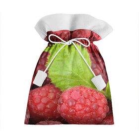 Подарочный 3D мешок с принтом Малина в Тюмени, 100% полиэстер | Размер: 29*39 см | Тематика изображения на принте: еда | красная | красные | лист | листок | листочек | листья | малина | малинка | природа | растение | растения | ягода | ягодка | ягодки | ягоды