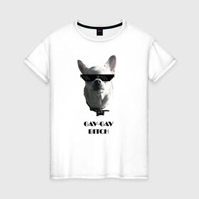 Женская футболка хлопок с принтом cool dog в Тюмени, 100% хлопок | прямой крой, круглый вырез горловины, длина до линии бедер, слегка спущенное плечо | chihuahua | cool | dog | fun | funny dog | puppy | small dog | маленький пес | прикол | смешной принт | чихуахуа