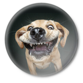 Значок с принтом Улыбающаяся Собака в Тюмени,  металл | круглая форма, металлическая застежка в виде булавки | dog | зубы | лапы | мем | пес | прикол | слюни | смешные животные | собака | собачка | улыбающаяся собака | улыбка | щенок | юмор | язык