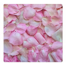 Магнитный плакат 3Х3 с принтом Лепестки роз в Тюмени, Полимерный материал с магнитным слоем | 9 деталей размером 9*9 см | rose | лепестки | лепесточки | лист | листики | листочек | листья | природа | растение | растения | роз | роза | розовые | розовый | розочка | розочки | розы | флора | цветок | цветочки | цветы