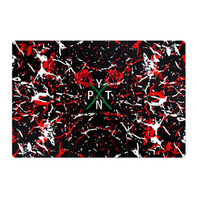 Магнитный плакат 3Х2 с принтом ТИКТОКЕР - PAYTON MOORMEIE. в Тюмени, Полимерный материал с магнитным слоем | 6 деталей размером 9*9 см | payton | payton moormeie | tiktok | блогер | блогеры | знаменитости | музыка | пейтон | пейтон моормиер | популярные иллюстрации | прикольные картинки | тик ток | тиктокер