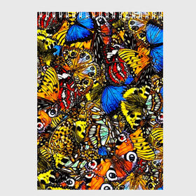 Скетчбук с принтом Ночные Бабочки в Тюмени, 100% бумага
 | 48 листов, плотность листов — 100 г/м2, плотность картонной обложки — 250 г/м2. Листы скреплены сверху удобной пружинной спиралью | Тематика изображения на принте: animals | butterfly | pattern | акварель | бабочка | бабочки | животные | крылышки | крылья | насекомые | ночные бабочки | паттерн | рисунок | тропические бабочки | цветные бабочки