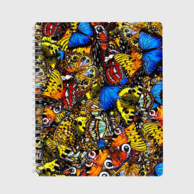 Тетрадь с принтом Ночные Бабочки в Тюмени, 100% бумага | 48 листов, плотность листов — 60 г/м2, плотность картонной обложки — 250 г/м2. Листы скреплены сбоку удобной пружинной спиралью. Уголки страниц и обложки скругленные. Цвет линий — светло-серый
 | Тематика изображения на принте: animals | butterfly | pattern | акварель | бабочка | бабочки | животные | крылышки | крылья | насекомые | ночные бабочки | паттерн | рисунок | тропические бабочки | цветные бабочки