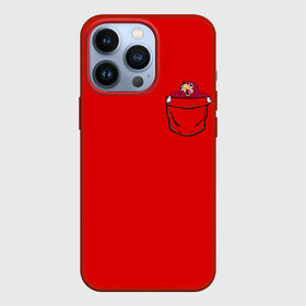 Чехол для iPhone 13 Pro с принтом УГАНДА НАКЛЗ в Тюмени,  |  | knuckles | meme | кнаклз | мемы | наклз | соник