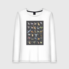 Женский лонгслив хлопок с принтом футболка в Тюмени, 100% хлопок |  | алфавит | буквы | детям | животные | лес | саванна