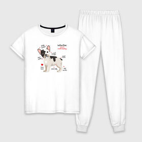 Женская пижама хлопок с принтом Французский бульдог funny pet в Тюмени, 100% хлопок | брюки и футболка прямого кроя, без карманов, на брюках мягкая резинка на поясе и по низу штанин | Тематика изображения на принте: bulldog | dog | french bulldog | funny | honey | pet | бульдог | бульдожка | девушкам | забавный | инструкция | кутенок | милый | пес | песик | питомцы | прикольный | пушистый | сердечко | смешной | собака