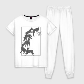 Женская пижама хлопок с принтом Доберманы в Тюмени, 100% хлопок | брюки и футболка прямого кроя, без карманов, на брюках мягкая резинка на поясе и по низу штанин | dogs | графика | движение | доберман | композиция | котенок | рамка | собаки