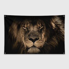 Флаг-баннер с принтом Лев в Тюмени, 100% полиэстер | размер 67 х 109 см, плотность ткани — 95 г/м2; по краям флага есть четыре люверса для крепления | leon | животные | кошка | лев | львиный взгляд | хищник | царь зверей