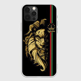 Чехол для iPhone 12 Pro Max с принтом Таджикистан в Тюмени, Силикон |  | crown | evil | golden | islam | lion | republic | stars | tajikistan | звезды | злой | золотой | ислам | корона | лев | республика | таджикистан