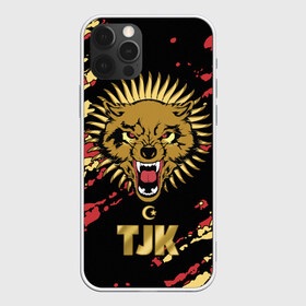 Чехол для iPhone 12 Pro Max с принтом Таджикистан в Тюмени, Силикон |  | crescent | evil | golden | islam | republic | sun | tajikistan | wolf | волк | злой | золотой | ислам | полумесяц | республика | солнце | таджикистан