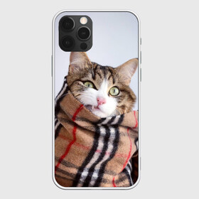 Чехол для iPhone 12 Pro Max с принтом Кот в шарфе в Тюмени, Силикон |  | Тематика изображения на принте: cat | животные | звири | кис | киска | кот | котейка | котик | коты | котяра | кошка | кошки | природа