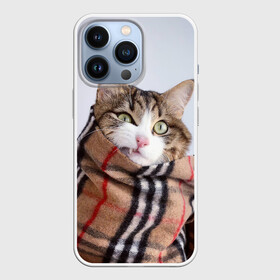 Чехол для iPhone 13 Pro с принтом Кот в шарфе в Тюмени,  |  | cat | животные | звири | кис | киска | кот | котейка | котик | коты | котяра | кошка | кошки | природа