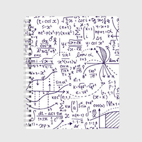 Тетрадь с принтом Формулы в Тюмени, 100% бумага | 48 листов, плотность листов — 60 г/м2, плотность картонной обложки — 250 г/м2. Листы скреплены сбоку удобной пружинной спиралью. Уголки страниц и обложки скругленные. Цвет линий — светло-серый
 | алгебра | математика | математические формулы | наука | научные формулы | формулы