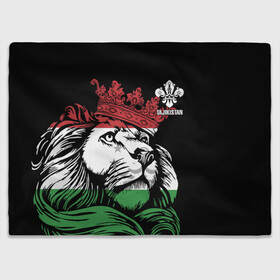 Плед 3D с принтом Таджикистан в Тюмени, 100% полиэстер | закругленные углы, все края обработаны. Ткань не мнется и не растягивается | crown | flag | king | lion | republic | tajikistan | король | корона | лев | республика | таджикистан | флаг | царь