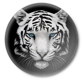Значок с принтом Белый тигр в Тюмени,  металл | круглая форма, металлическая застежка в виде булавки | Тематика изображения на принте: белый тигр | крупный тигр | крупным планом | с голубыми глазами | тигры