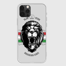 Чехол для iPhone 12 Pro с принтом Таджикистан в Тюмени, силикон | область печати: задняя сторона чехла, без боковых панелей | crown | flag | king | lion | republic | tajikistan | король | корона | лев | республика | таджикистан | флаг | царь